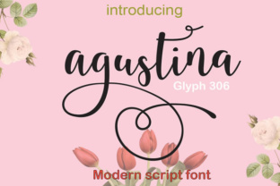 Agustina Font: Elegant Script for Design Projects